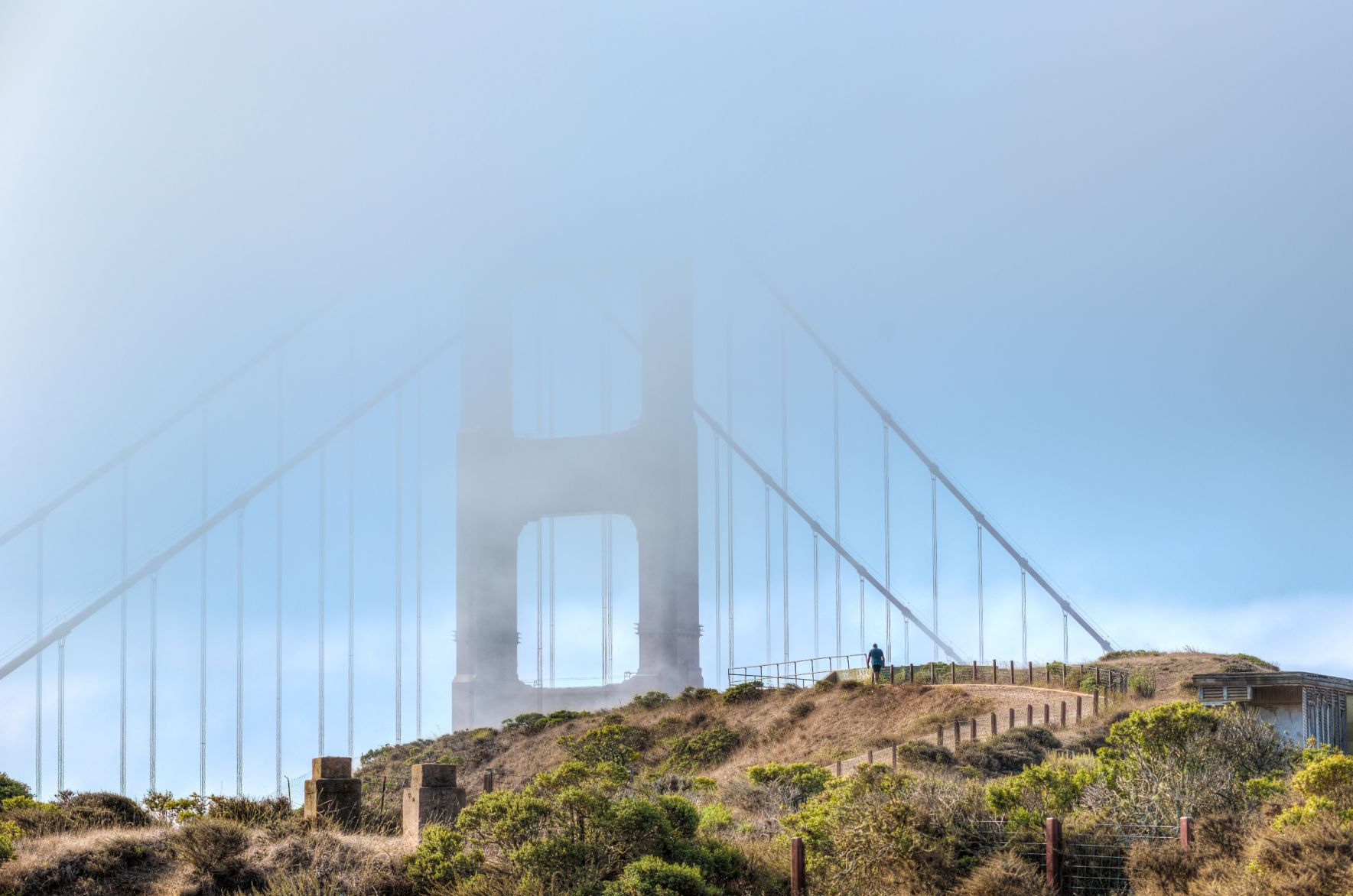 Walking into the mist